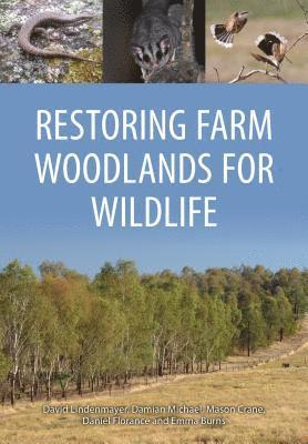 David B. Lindenmayer, Damian Michael - Restoring Farm Woodlands for Wildlife, Häftad