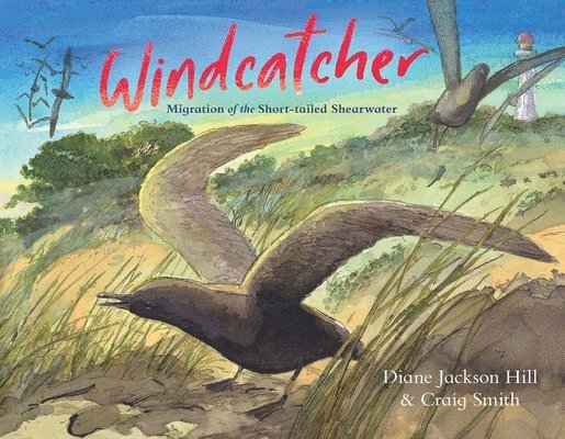 Diane Jackson Hill - Windcatcher, Inbunden