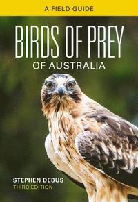 bokomslag Birds of Prey of Australia