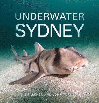 bokomslag Underwater Sydney