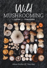 bokomslag Wild Mushrooming
