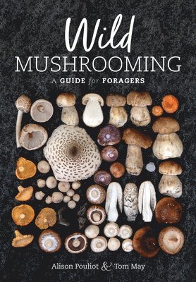 bokomslag Wild Mushrooming