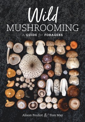 bokomslag Wild Mushrooming: A Guide for Foragers