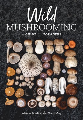 Wild Mushrooming 1