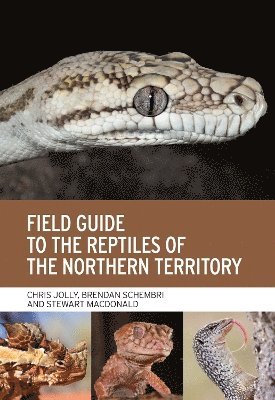 bokomslag Field Guide to the Reptiles of the Northern Territory