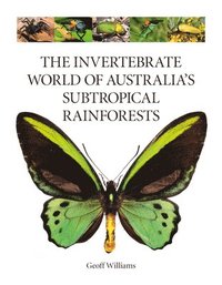 bokomslag The Invertebrate World of Australia's Subtropical Rainforests