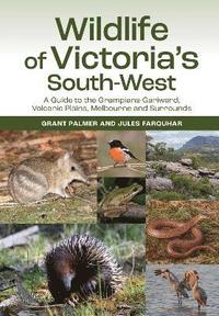 bokomslag Wildlife of Victoria's South-West