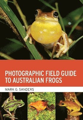 bokomslag Photographic Field Guide to Australian Frogs