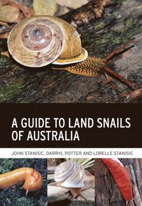 bokomslag A Guide to Land Snails of Australia