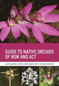 bokomslag Guide to Native Orchids of Nsw and ACT