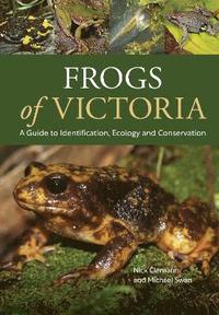 bokomslag Frogs of Victoria
