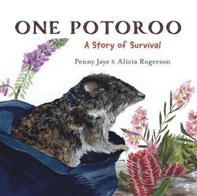 One Potoroo 1