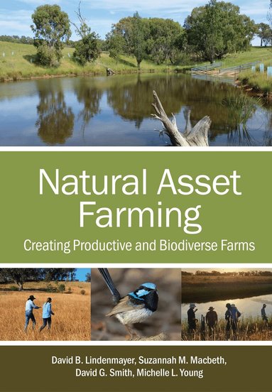 David B. Lindenmayer, Suzannah M. Macbeth, David G. Smith, Michelle L. Young - Natural Asset Farming, Häftad