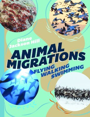 Diane Jackson Hill - Animal Migrations, Inbunden