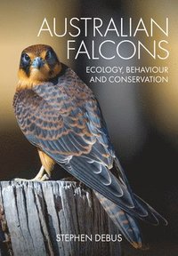 bokomslag Australian Falcons