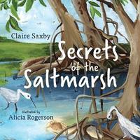 bokomslag Secrets of the Saltmarsh