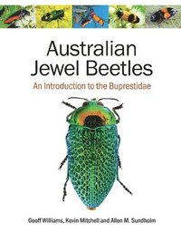 bokomslag Australian Jewel Beetles