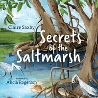 Claire Saxby - Secrets of the Saltmarsh, Häftad