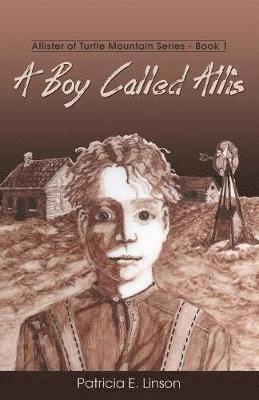 bokomslag A Boy Called Allis