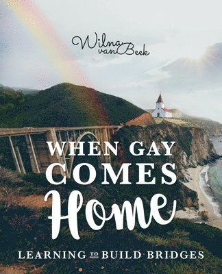 bokomslag When Gay Comes Home