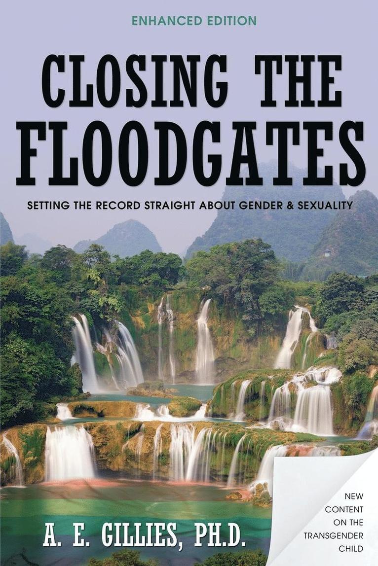 Closing the Floodgates (Revised Edition) 1