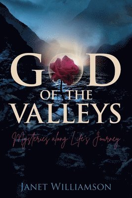 Janet Williamson - God of the Valleys, Häftad