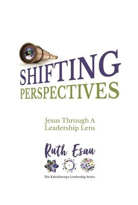 bokomslag Shifting Perspectives