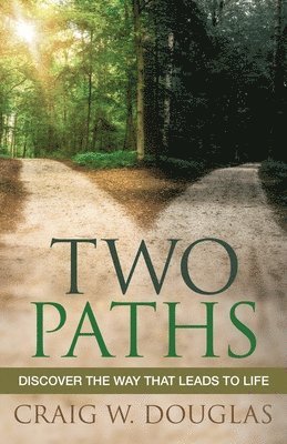 Two Paths 1