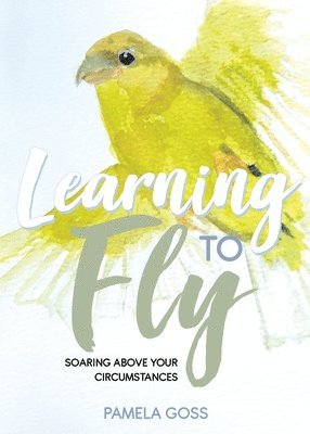 Learning to Fly 1