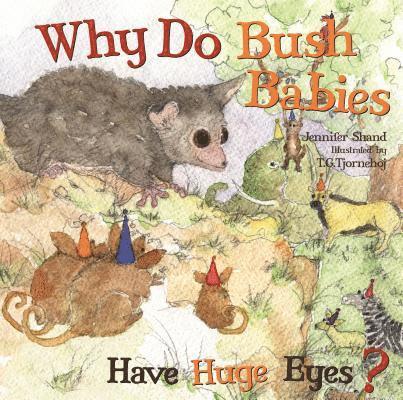 Why Do Bush Babies Have Huge Eyes? 1