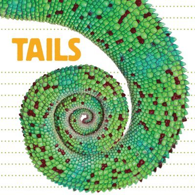 Tails 1