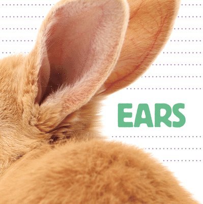 Ears 1