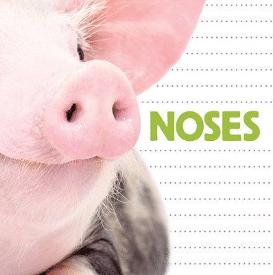 Noses 1