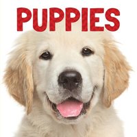 bokomslag Puppies
