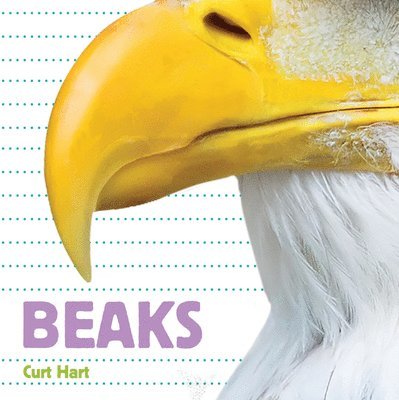 Beaks 1