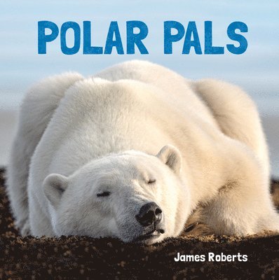 Polar Pals, Kartonnage
