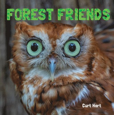 Forest Friends 1