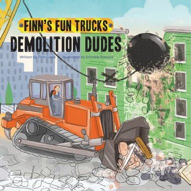 bokomslag Demolition Dudes