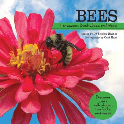 Bees: Honeybees, Bumblebees, and More! 1