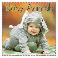 bokomslag Baby Animals