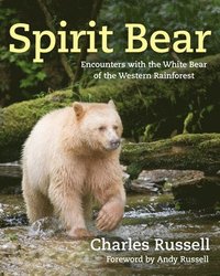 bokomslag Spirit Bear