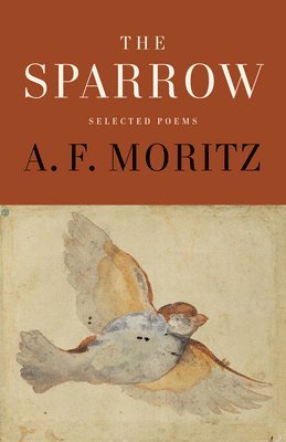 The Sparrow 1