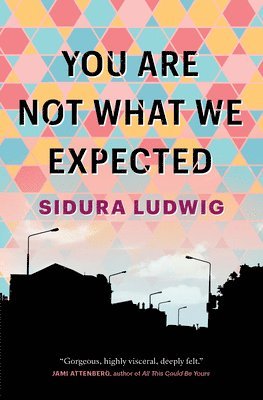Sidura Ludwig - You Are Not What We Expected, Häftad
