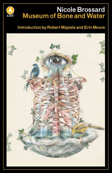 Nicole Brossard - Museum of Bone and Water, Häftad