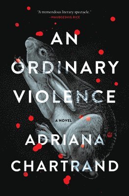 An Ordinary Violence 1