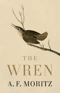 bokomslag Wren