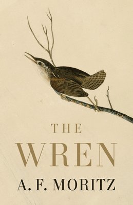 bokomslag Wren