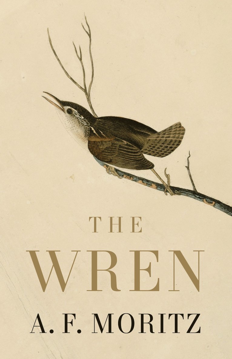 A.F. Moritz, A. F. Moritz, A F Moritz - Wren, Häftad