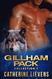 bokomslag Gillham Pack Collection 1