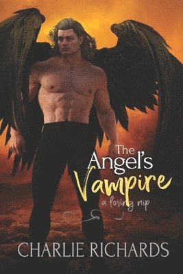 bokomslag The Angel's Vampire